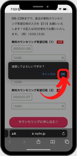 careerdrive-Application-procedure-16